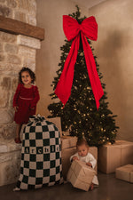 The Check Santa Sack